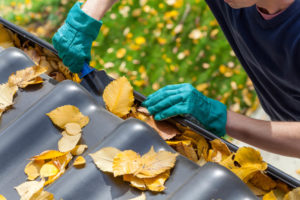 man cleaning out leafy gutters